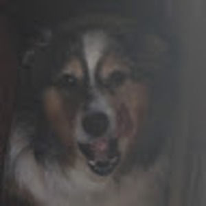 Meet your Posher, Alissa